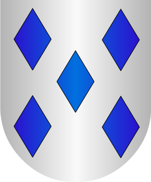 ESCUDO ALEATORIO